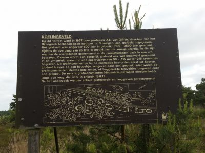 Description of the urn fields
